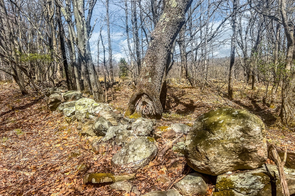 Historic Stone Walls - Frank Slawson Road