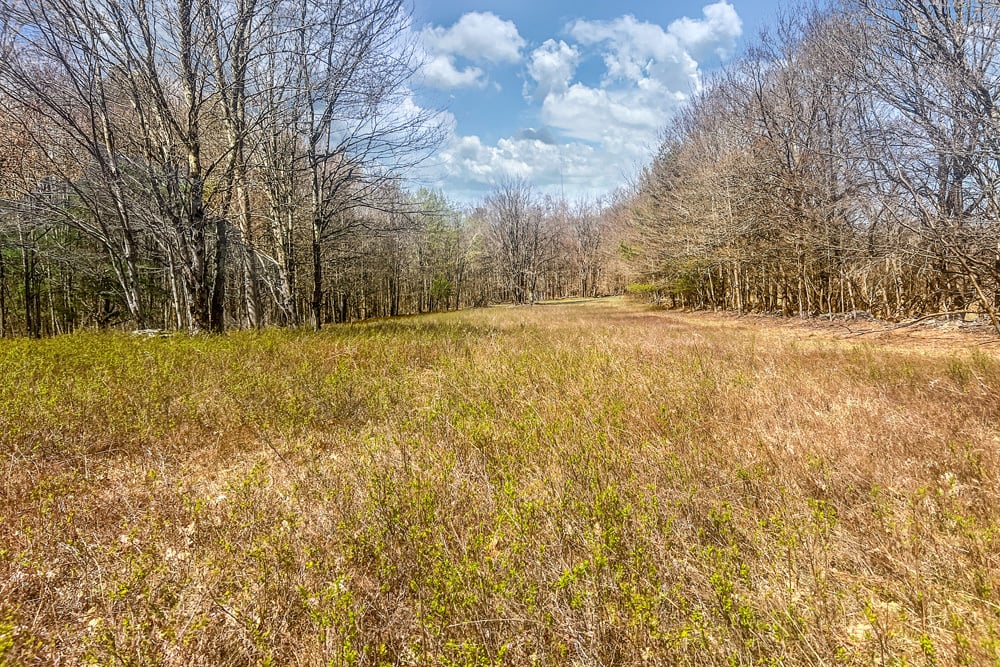 Open Fields - Frank Slawson Road