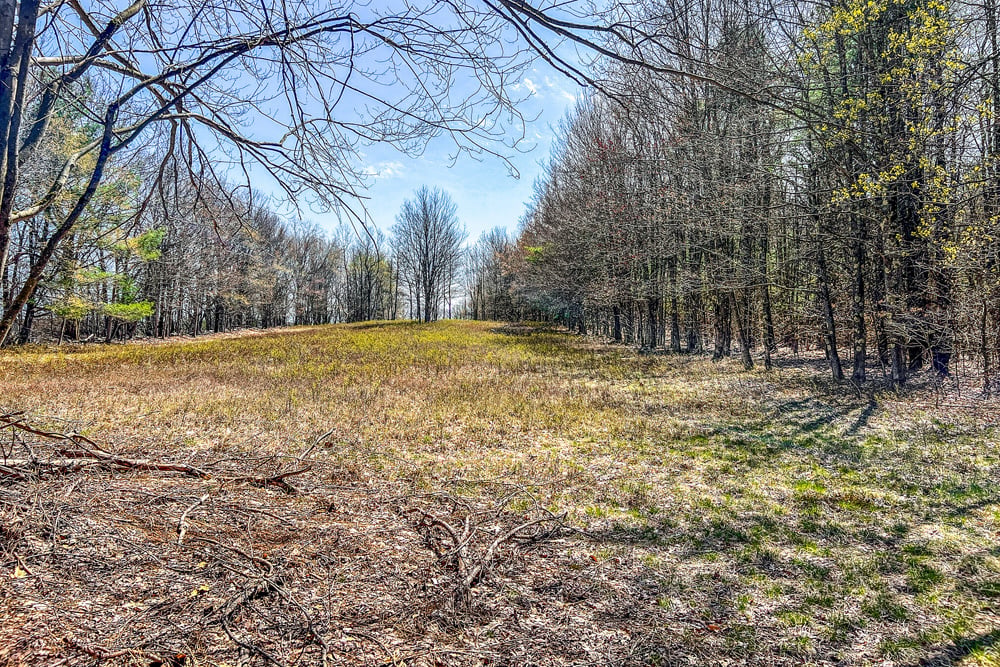 Open Fields - Frank Slawson Road