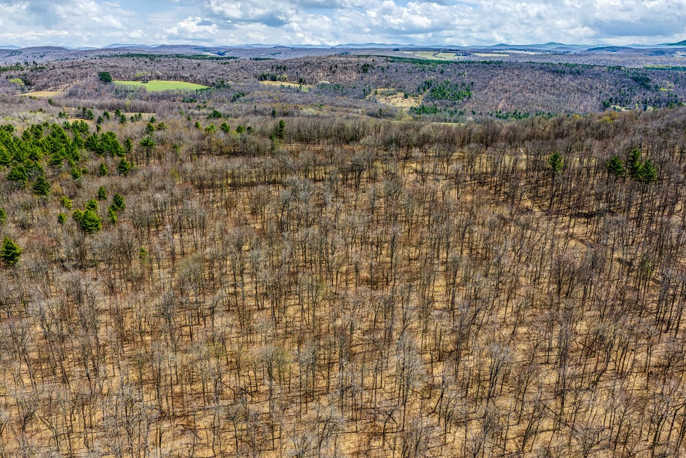 2160 Feet Above Sea Level - Frank Slawson Road