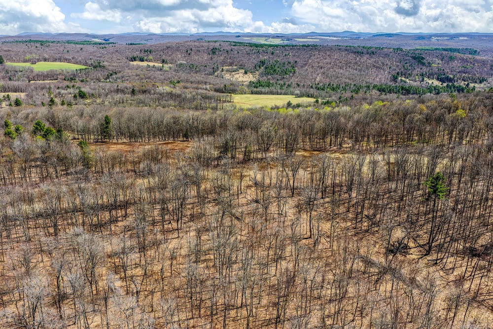 2160 Feet Above Sea Level - Frank Slawson Road