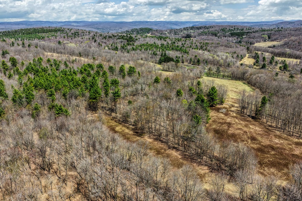 2160 Feet Above Sea Level - Frank Slawson Road