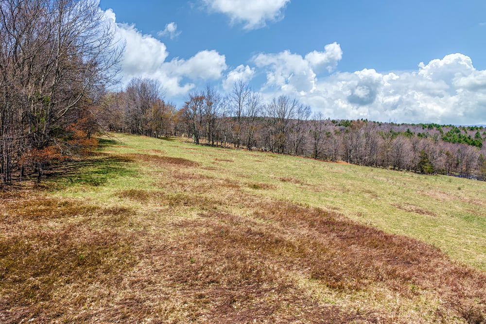 2160 Feet Above Sea Level - Frank Slawson Road