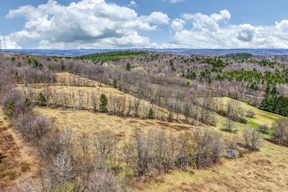 2160 Feet Above Sea Level - Frank Slawson Road