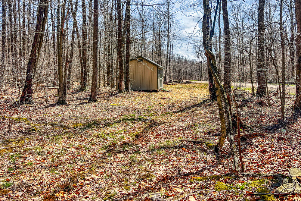 Logging/ATV Trails - Frank Slawson Road