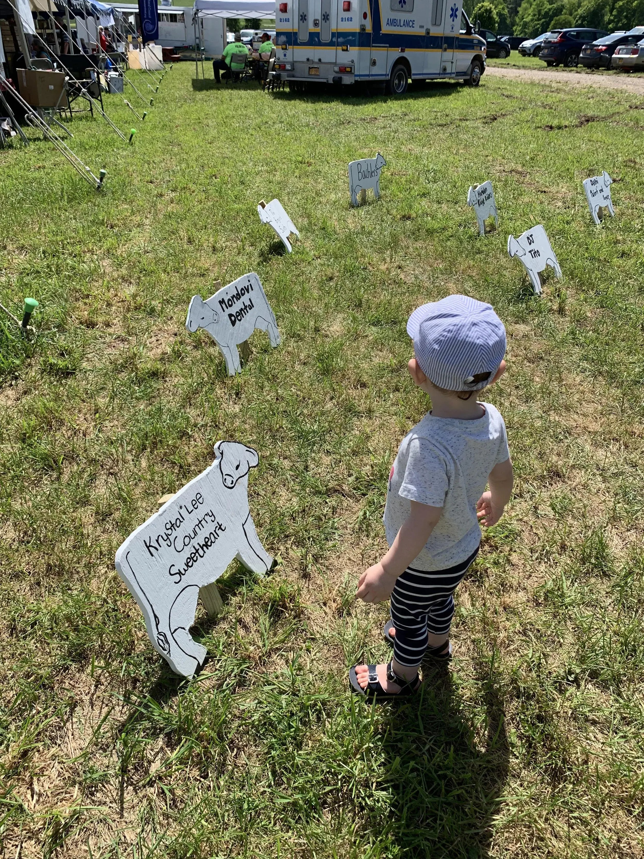 Dairy+Fest+sm+cows+and+kid