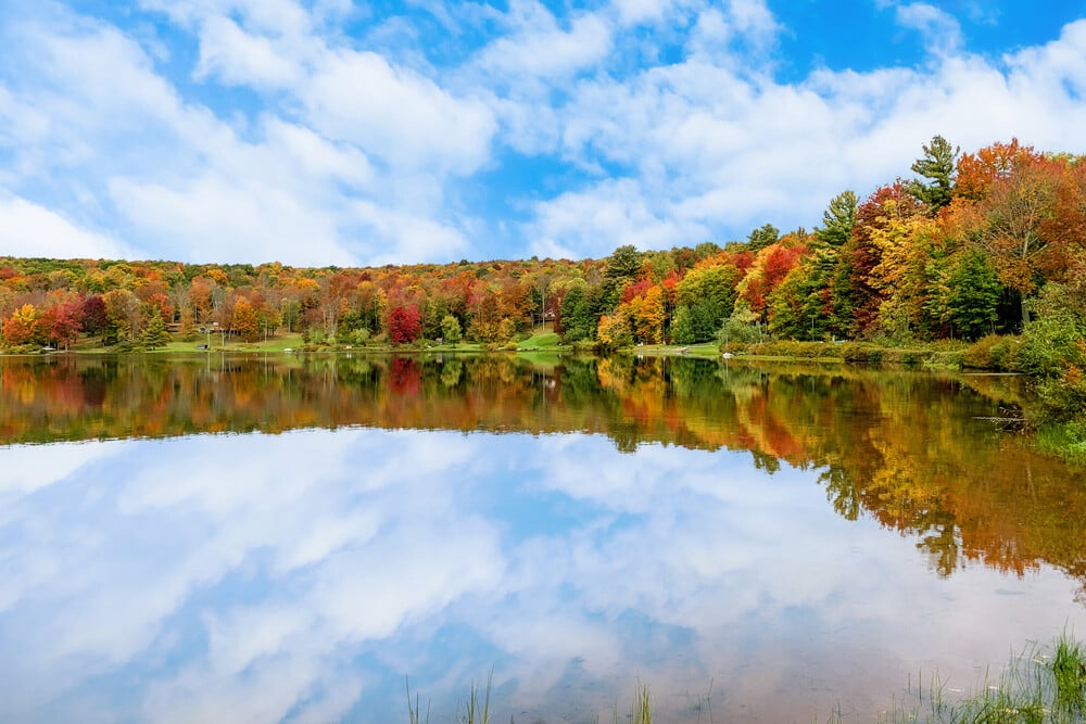 autumn lake