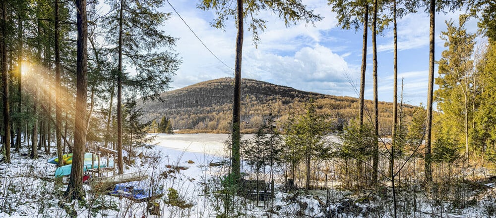 winter lake woods sun