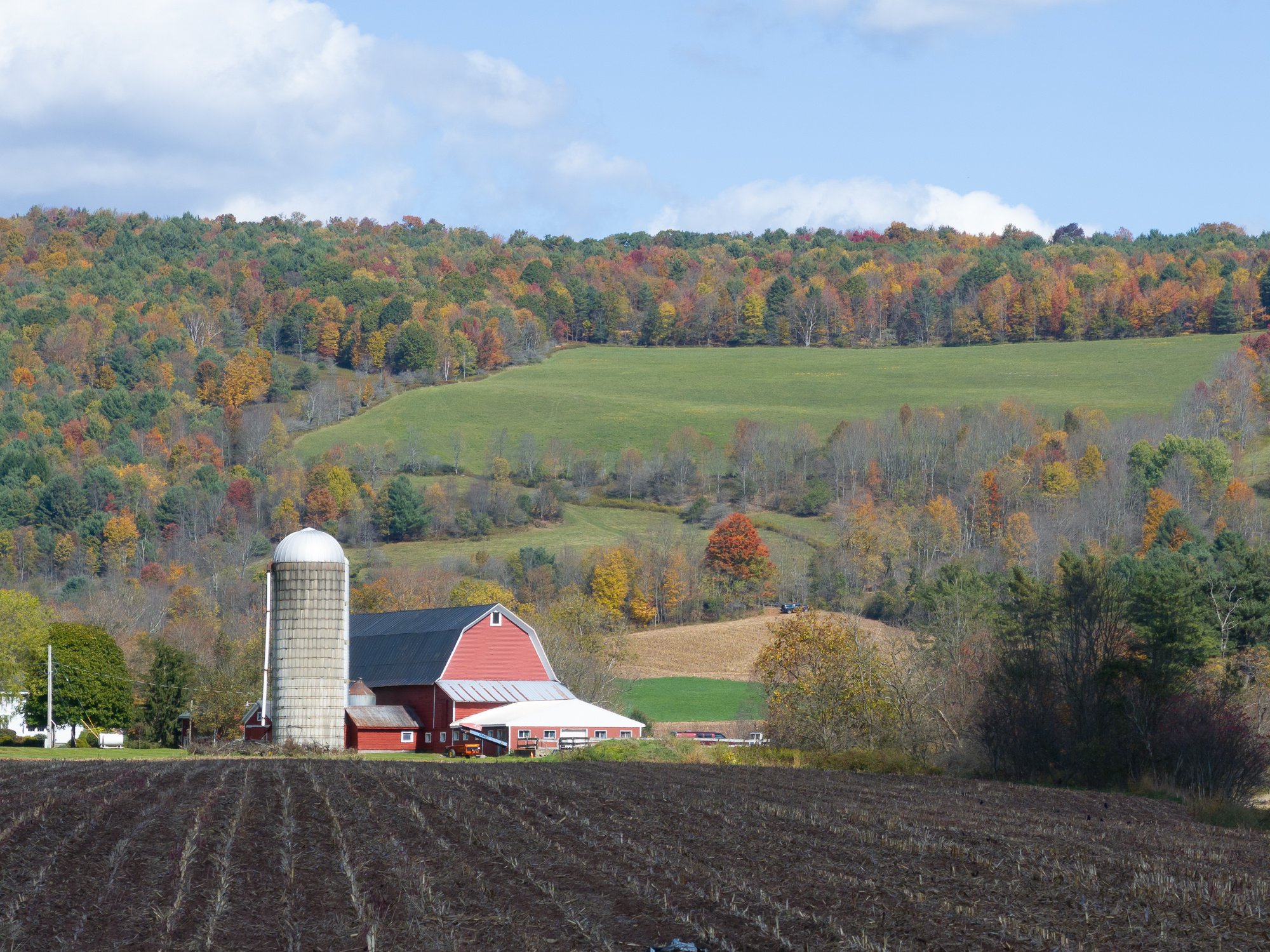 DJI_20241005131418_0273_D