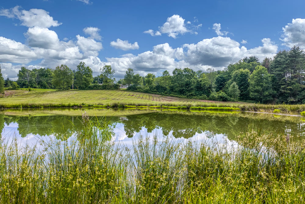 050 Half Acre Pond  --  1045 Covered Bridge Rd