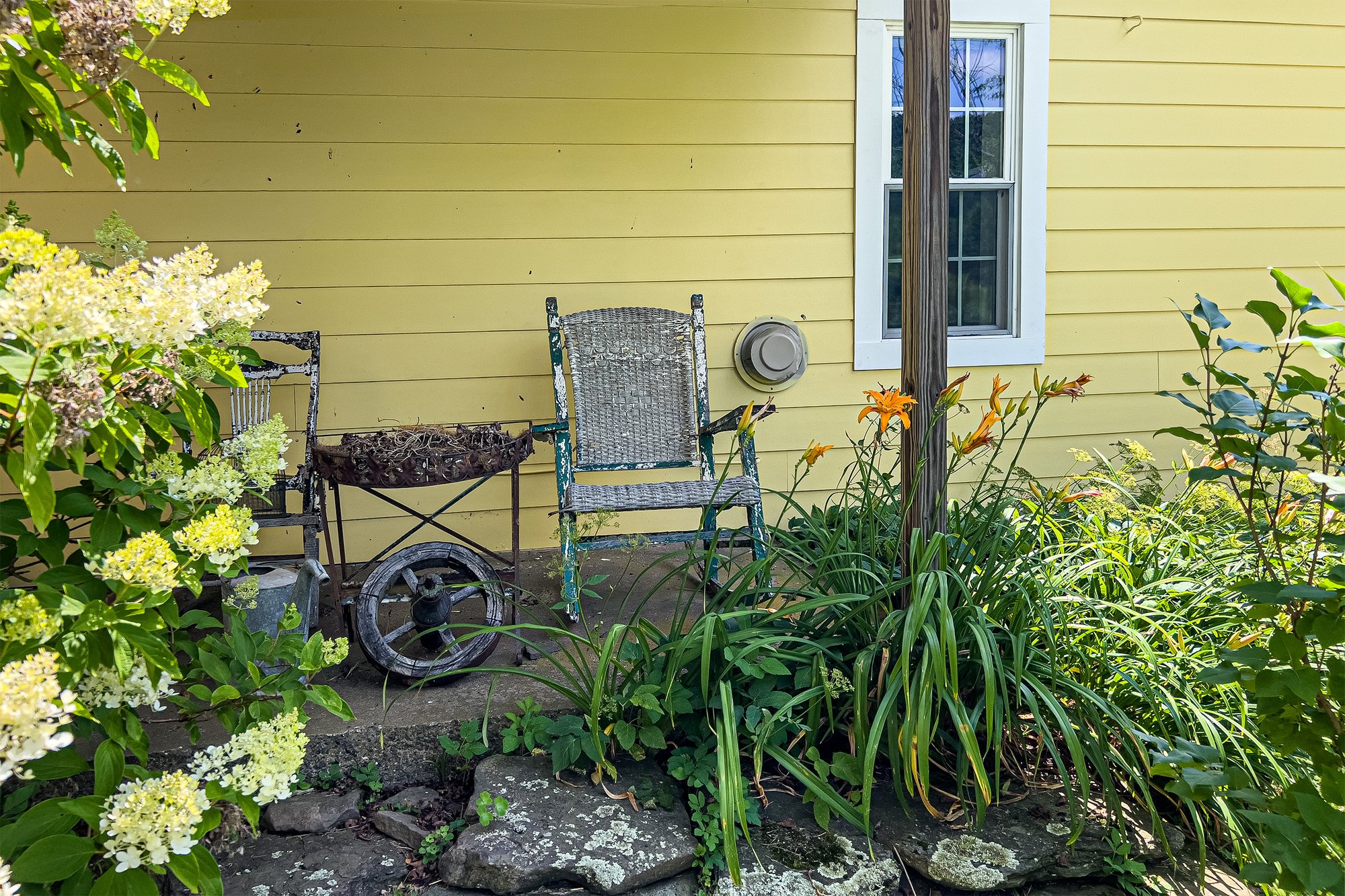 103 Mature Plantings -- 11440 County Highway 14