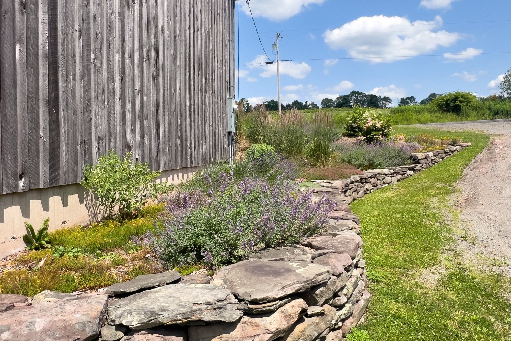 104 Seasonal Beauty -- 11440 County Highway 14