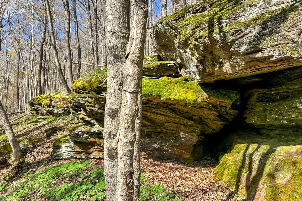 1264 Betty Brook Road - Rock Outcroppings