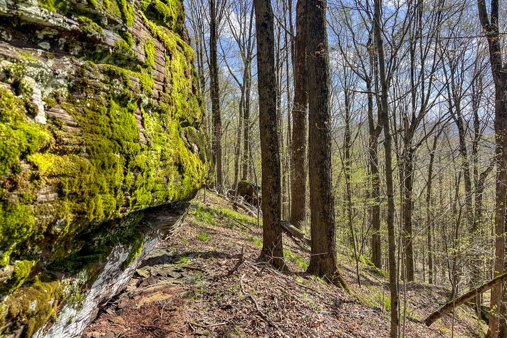 1264 Betty Brook Road - Rock Outcroppings