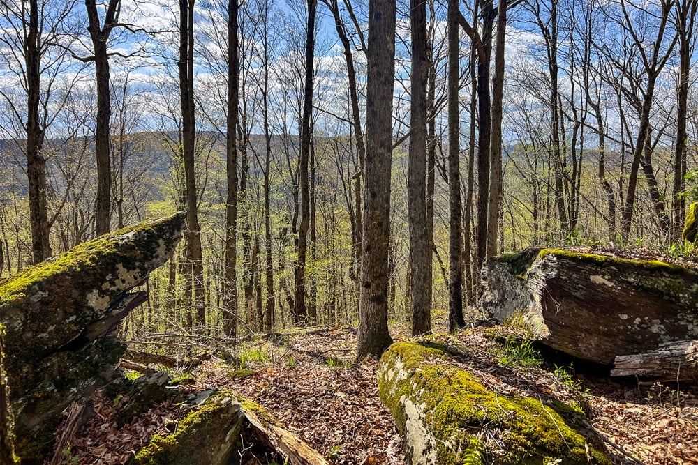 1264 Betty Brook Road - Rock Outcroppings