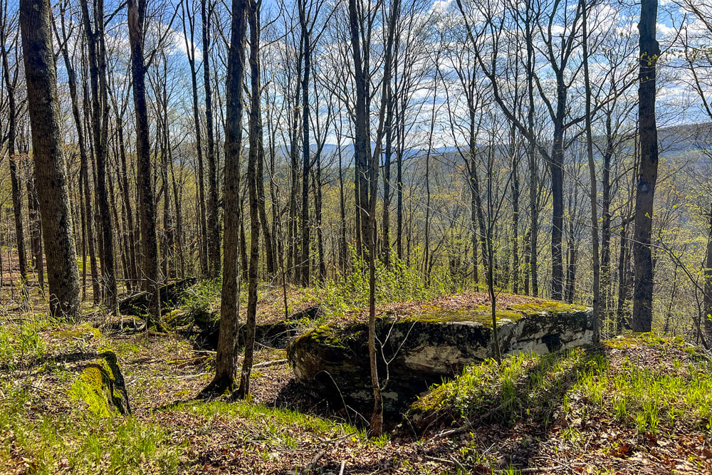1264 Betty Brook Road - Rock Outcroppings
