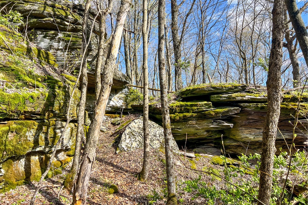1264 Betty Brook Road - Rock Outcroppings