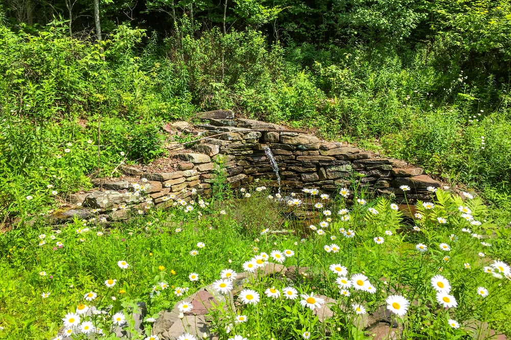 1264 BettyBrook WATERFALL