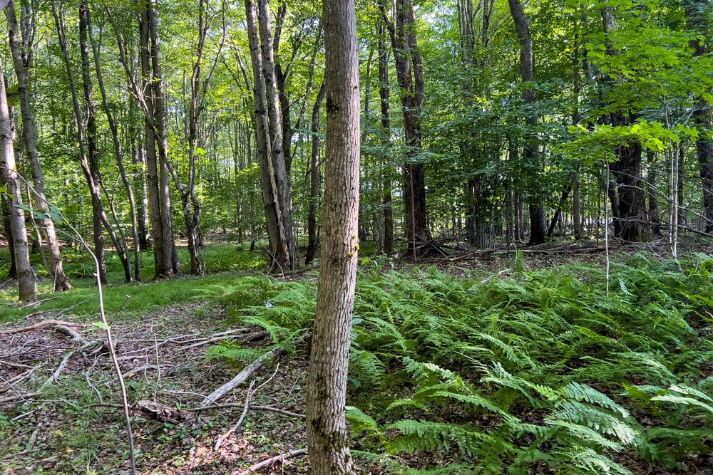 064 Trail Entrance - 1534 Brownell Rd