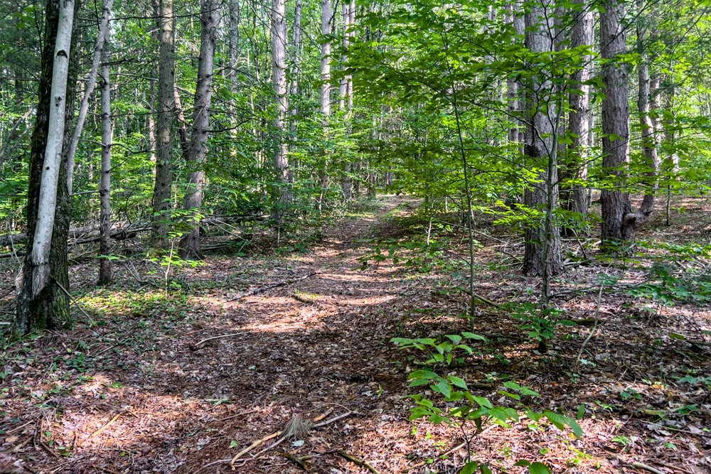 065 ATV Trail - 1534 Brownell Rd