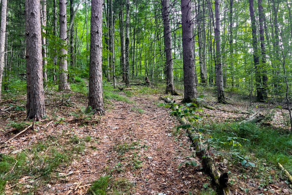 066 ATV Trail - 1534 Brownell Rd