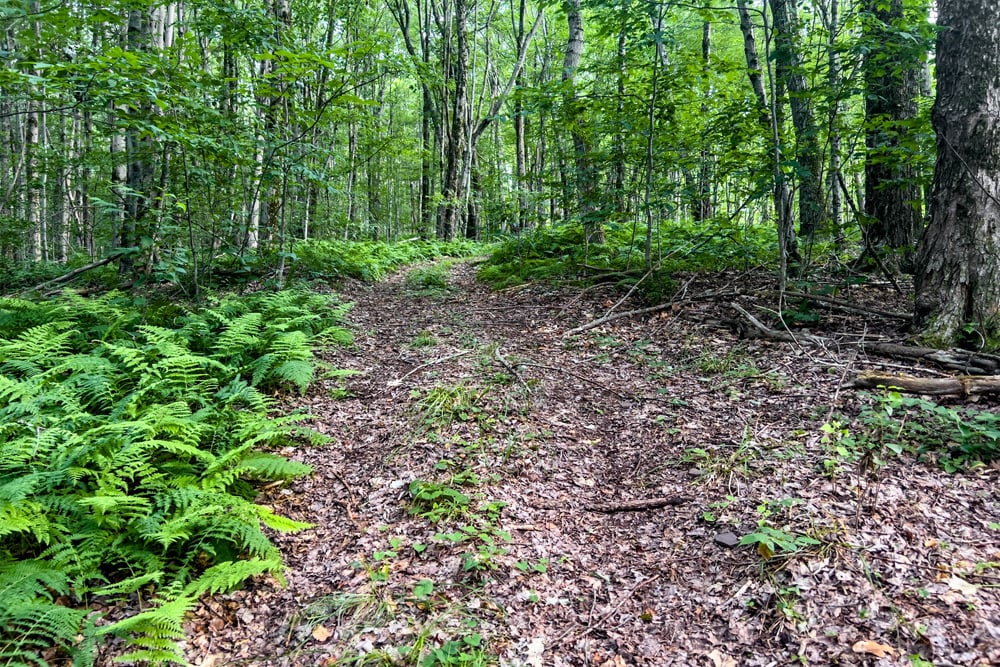 067 ATV Trail - 1534 Brownell Rd