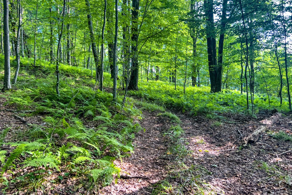 068 ATV Trail - 1534 Brownell Rd