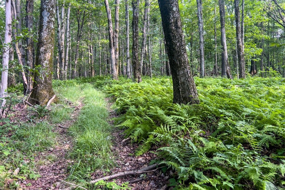 069 ATV Trail - 1534 Brownell Rd