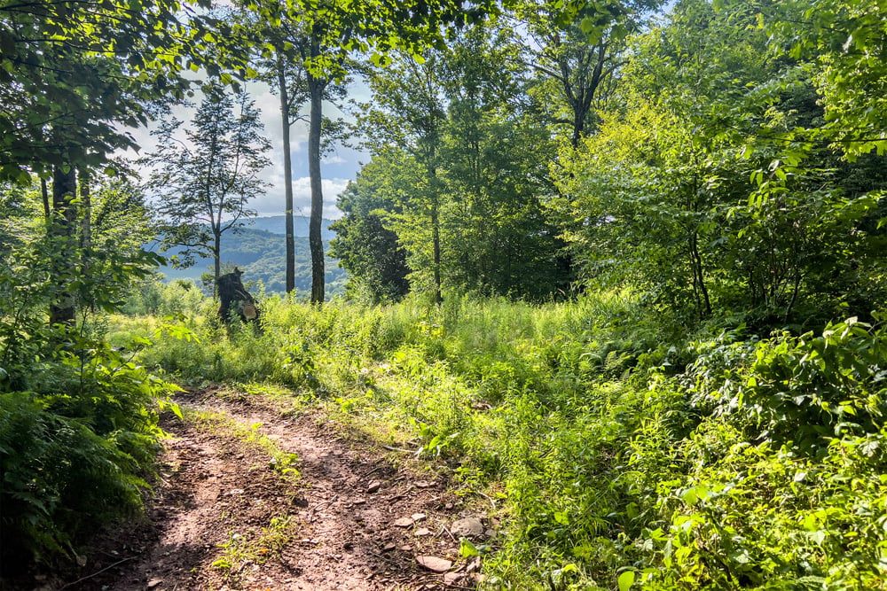 070 ATV Trail - 1534 Brownell Rd