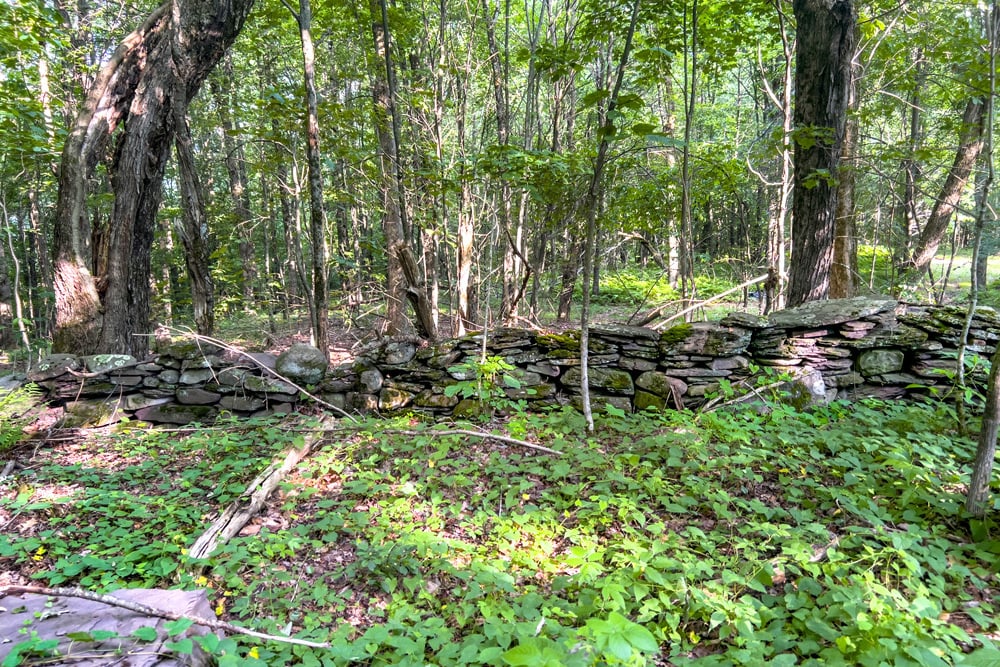 071 ATV Trail - 1534 Brownell Rd
