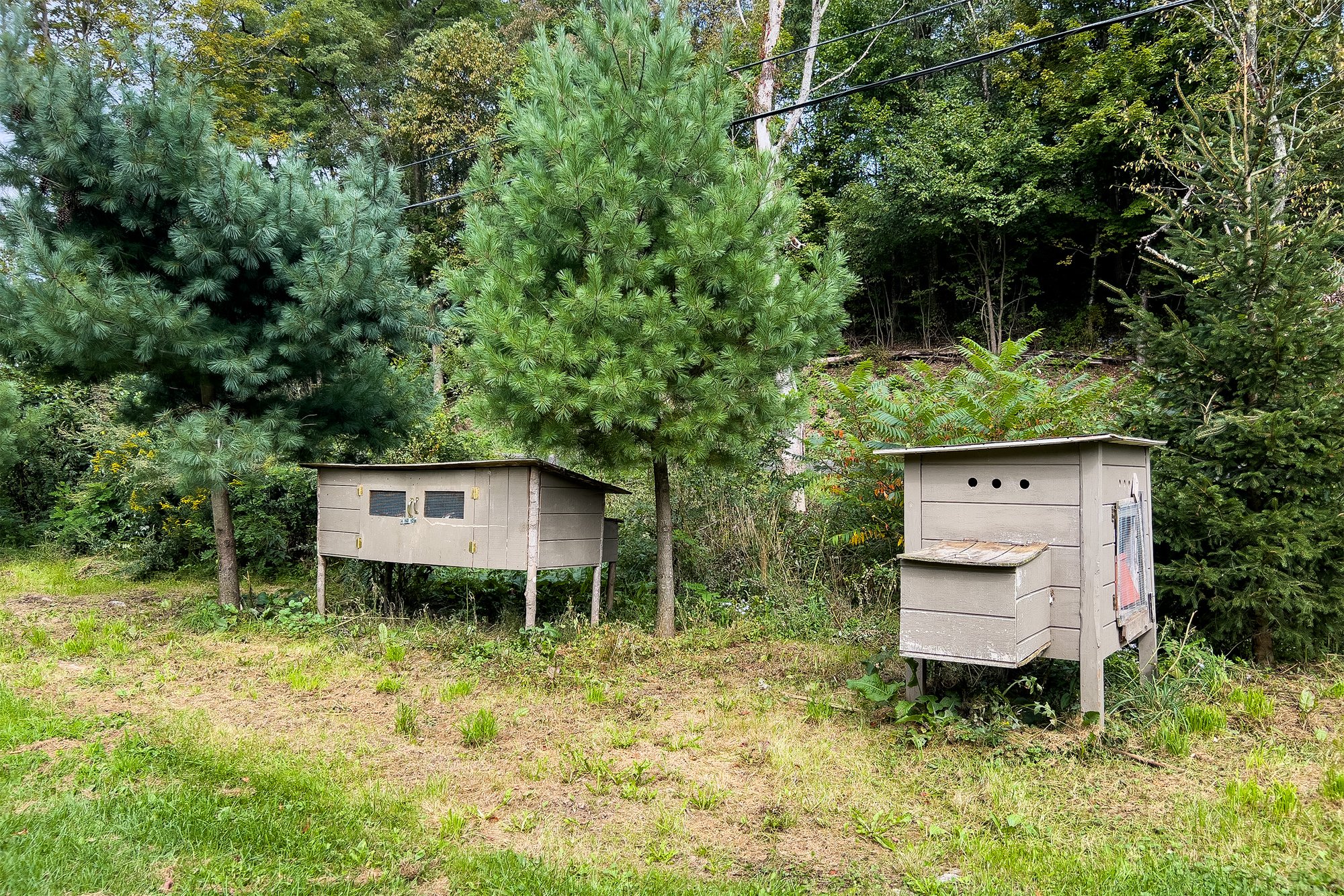 054 Chicken Coops along the creek -- 1685 Dry Brook Rd