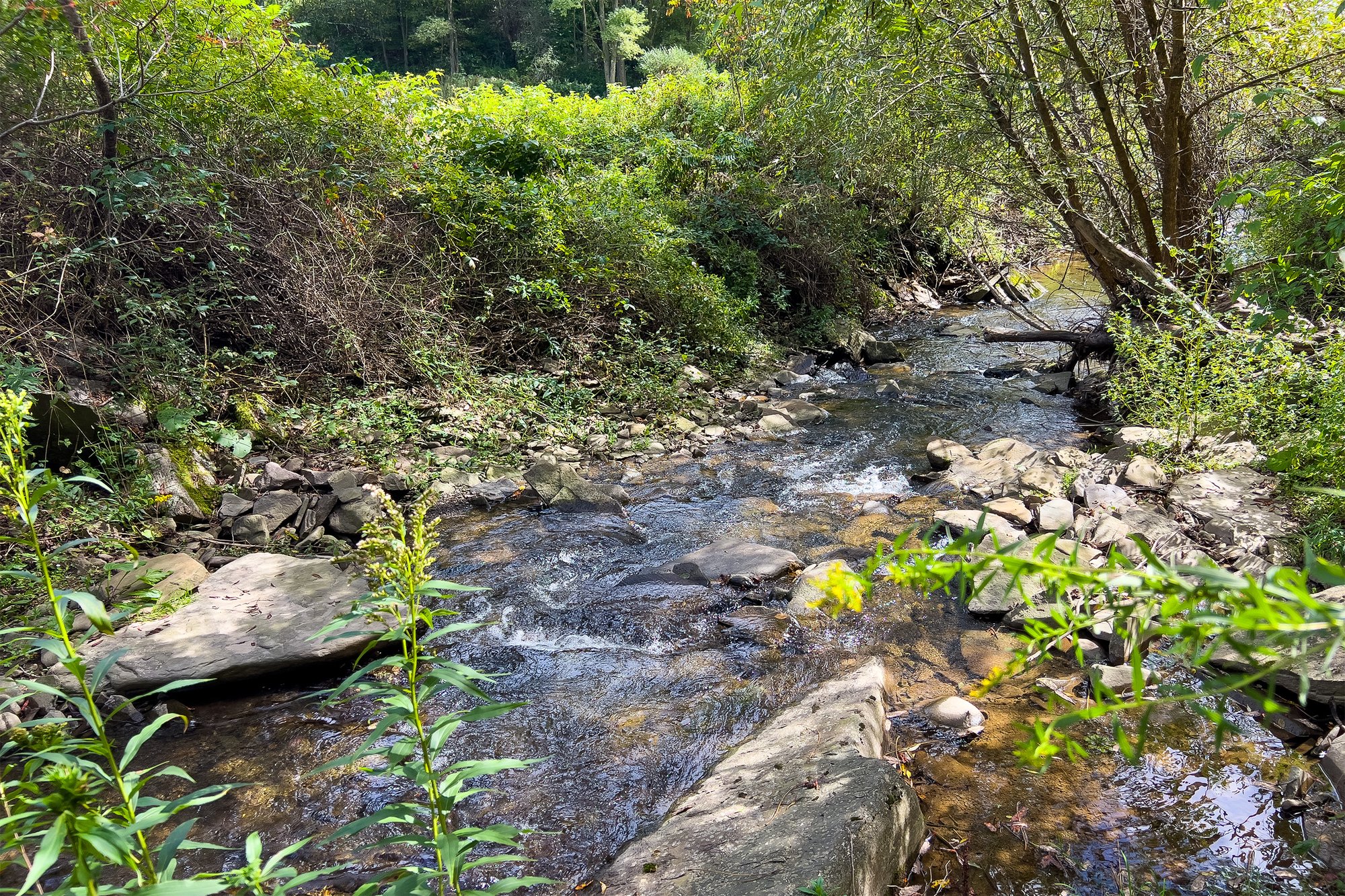 056 Dry Brook Creek -- 1685 Dry Brook Rd
