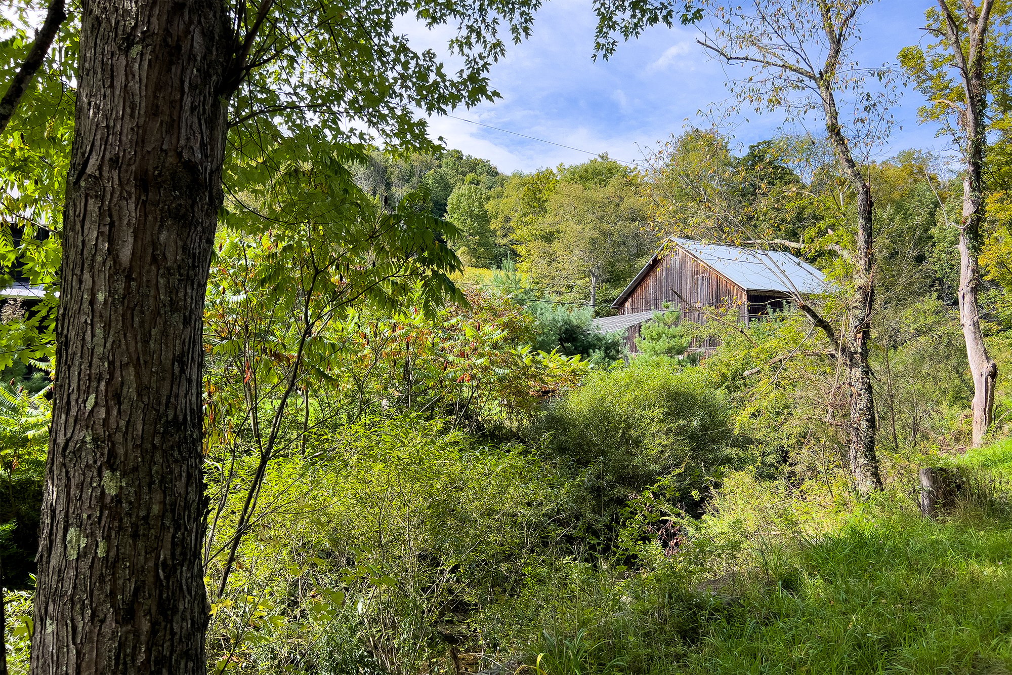 057 Trails to Upper Meadow -- 1685 Dry Brook Rd