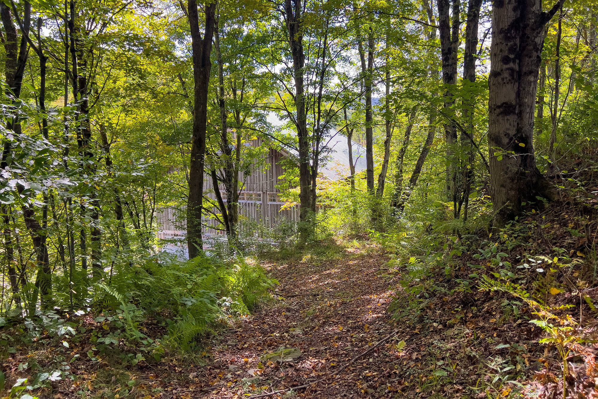 058 Trails to Upper Meadow -- 1685 Dry Brook Rd