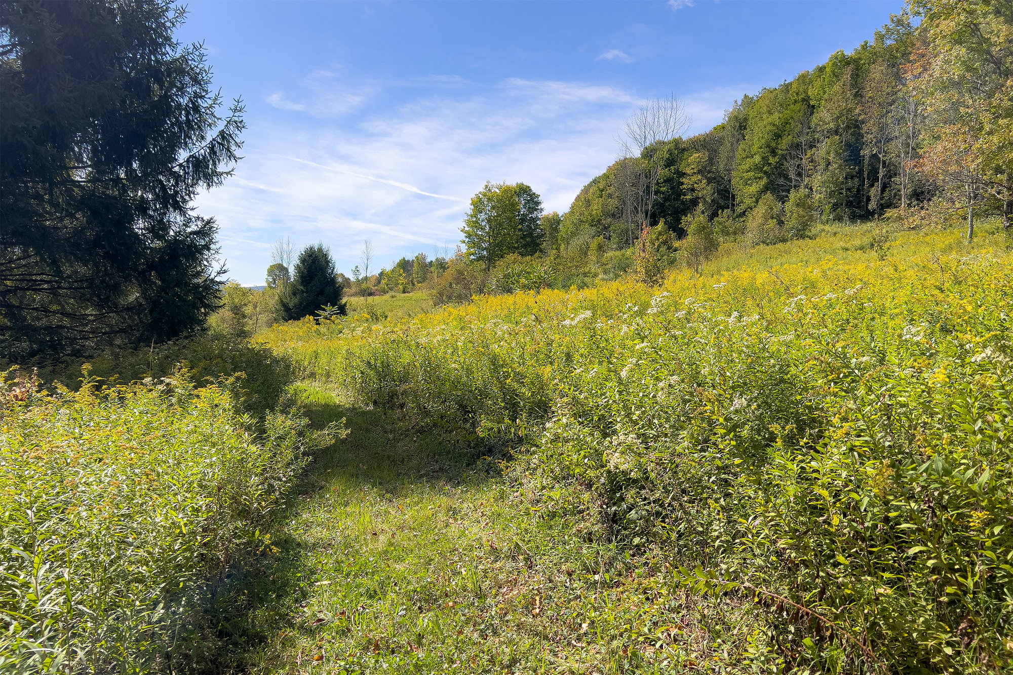 059 Trails to Upper Meadow -- 1685 Dry Brook Rd