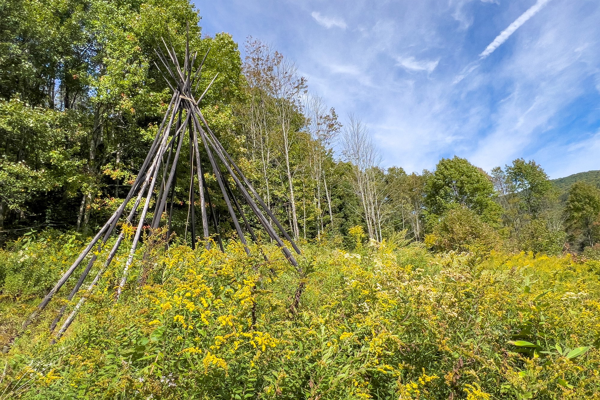062 Adjacent 1,000+ NYS-NYC Land -- 1685 Dry Brook Rd