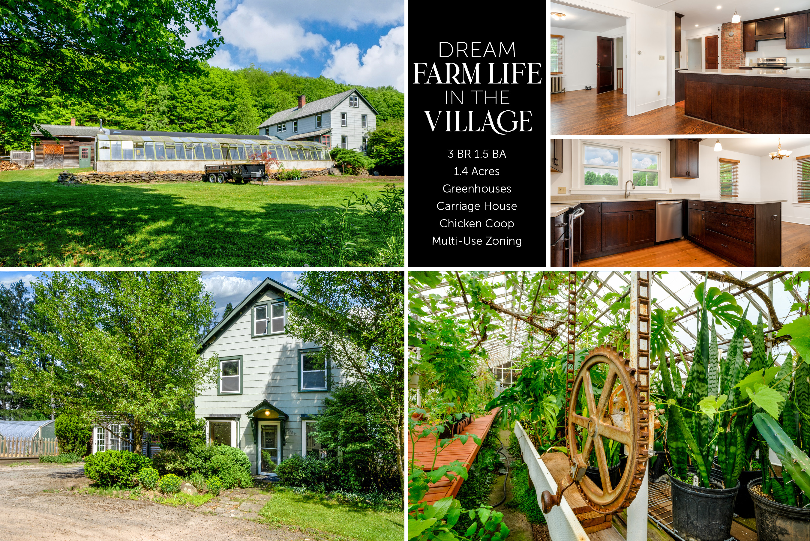 265Main-Mignier-Main