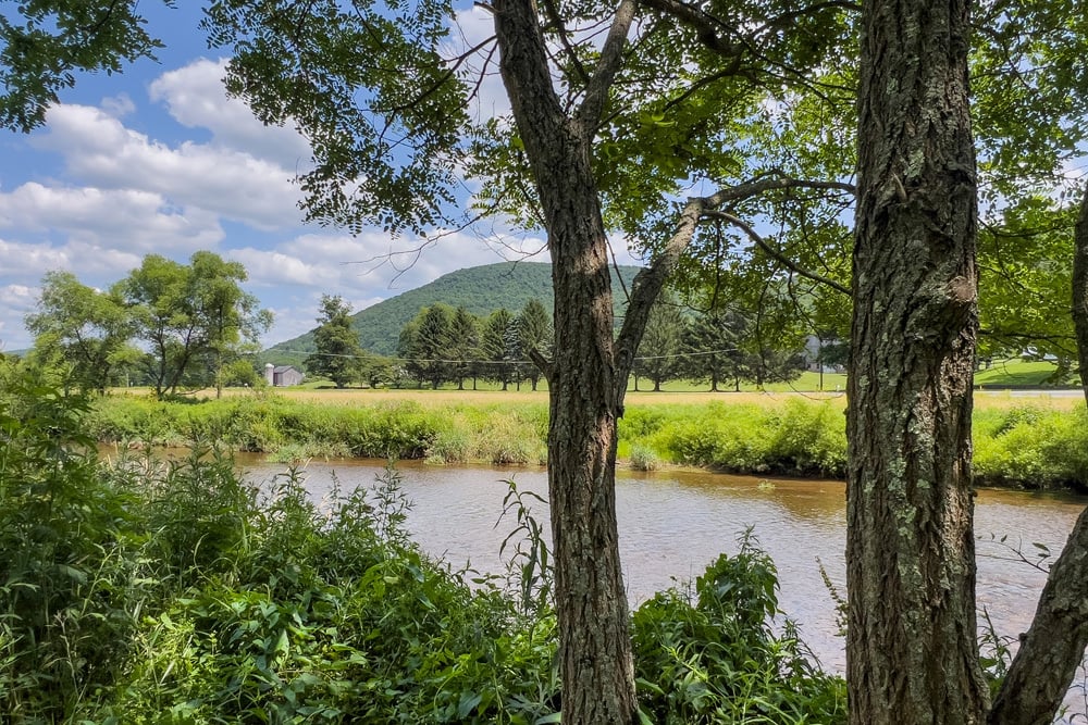 049-GorgeousRiverBankSetting-47220 State Highway 10