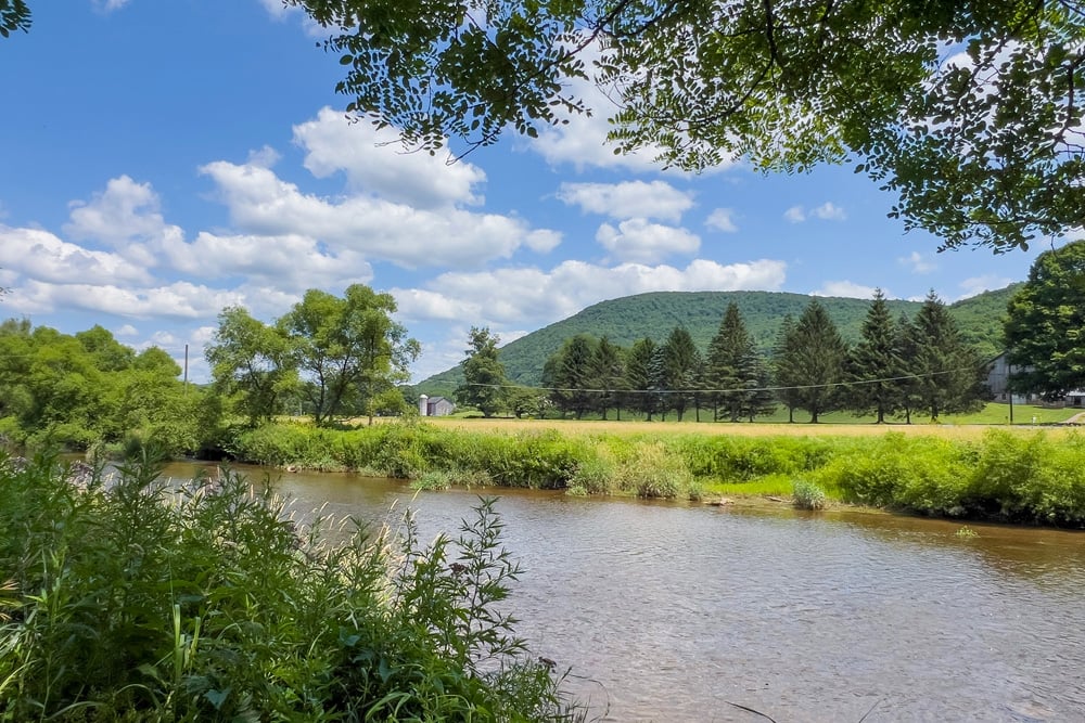 051-GorgeousRiverBankSetting-47220 State Highway 10
