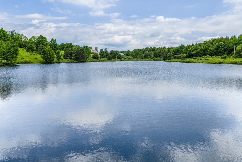002 Private 8 acre lake  - Fusco Drive