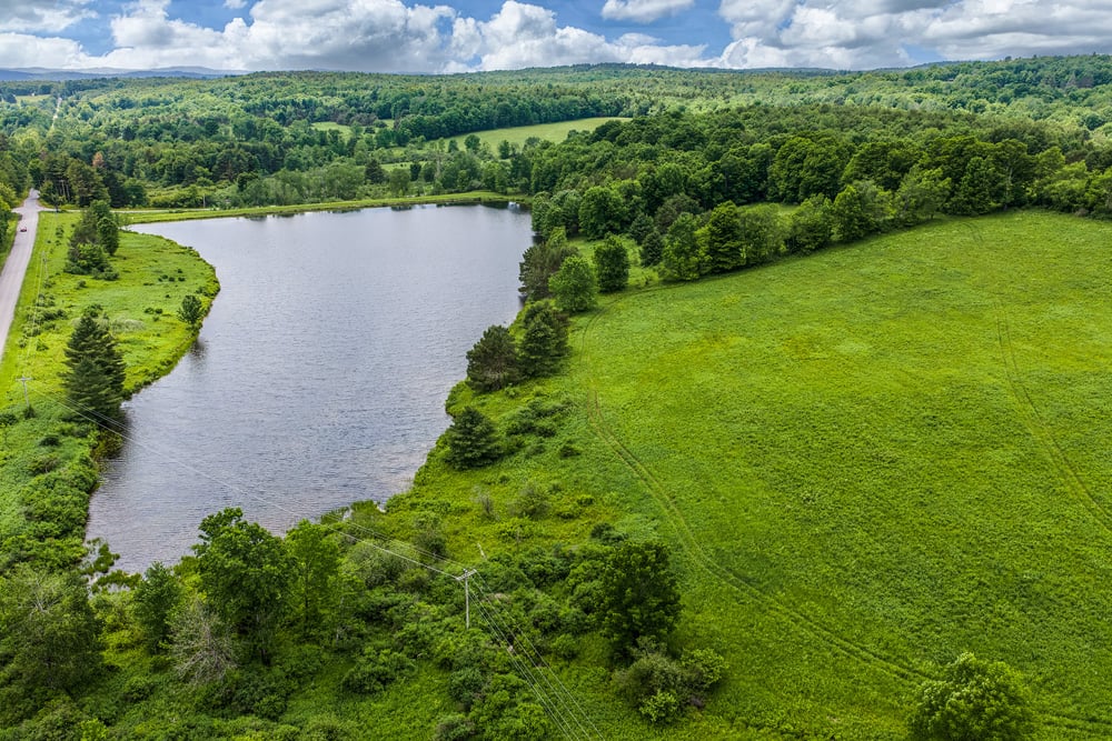 003 38 acres - Private 8 acre lake  - Fusco Drive