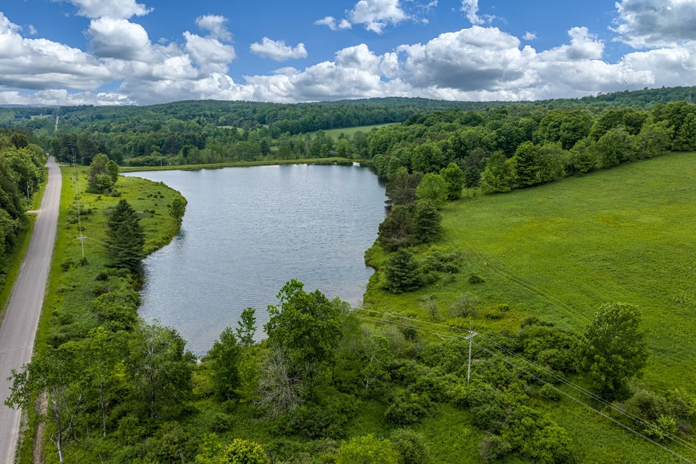042 Private 8 acre lake  - Fusco Drive