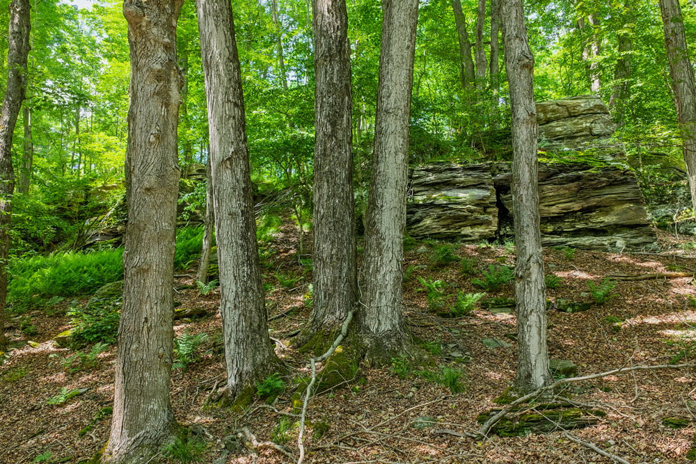 050 Rock Outcroppings - Fusco Drive