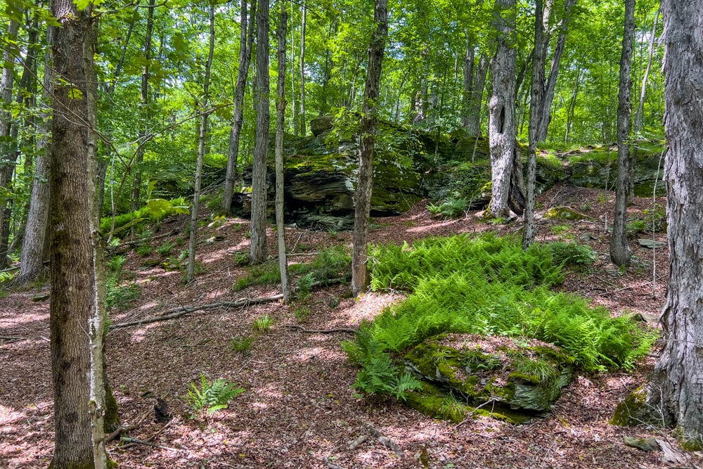 052 Rock Outcroppings - Fusco Drive