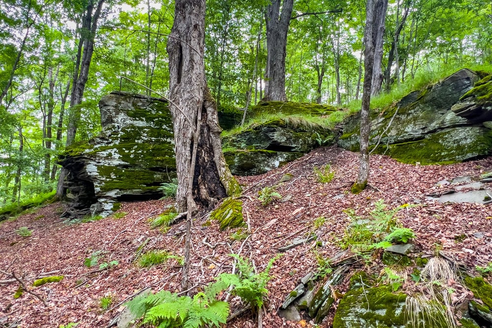 054 Rock Outcroppings - Fusco Drive