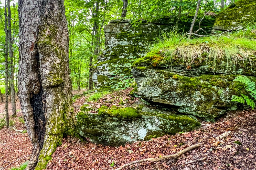055 Rock Outcroppings - Fusco Drive