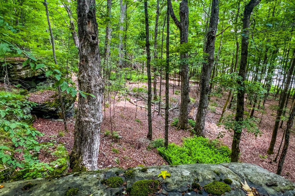057 Rock Outcroppings - Fusco Drive