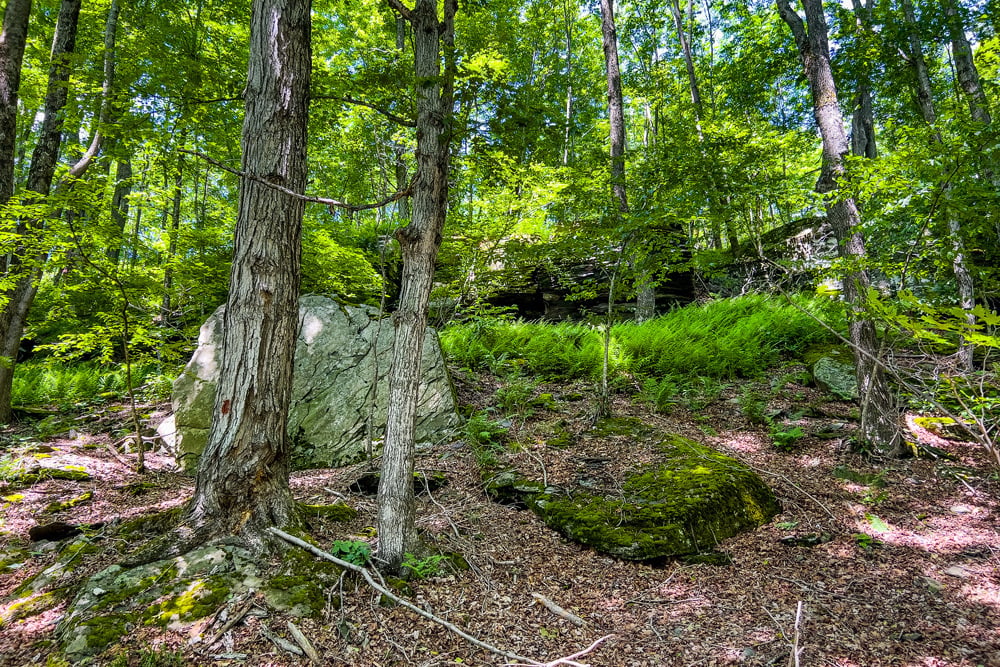 069 Private Forest - Fusco Drive