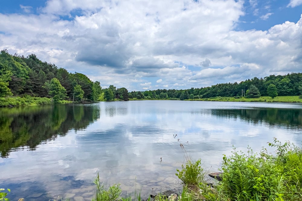 071 Private 8 acre lake  - Fusco Drive