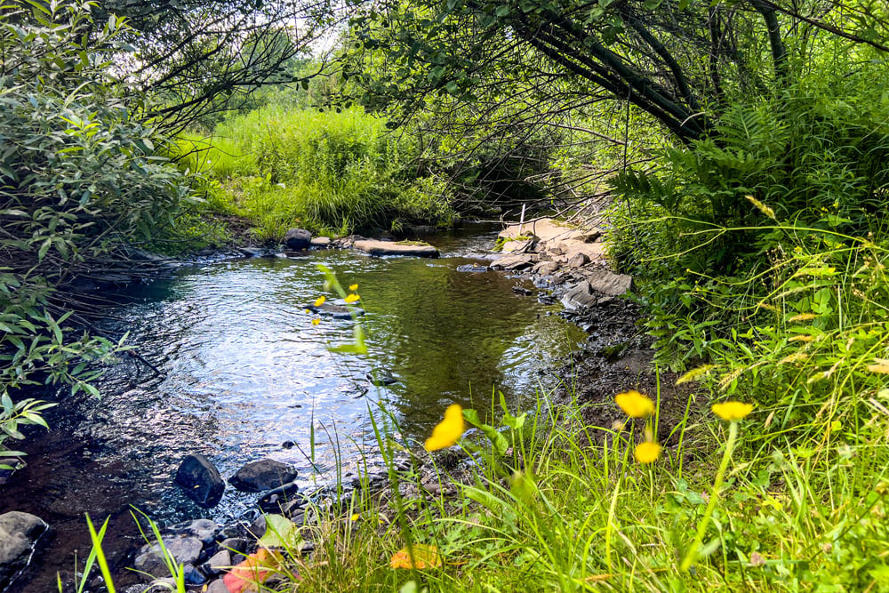 062 Ouleout Creek - 7881 County Hwy 14